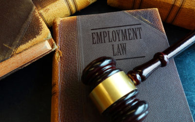 Many Types of Professionals Benefit from Understanding Employment Law