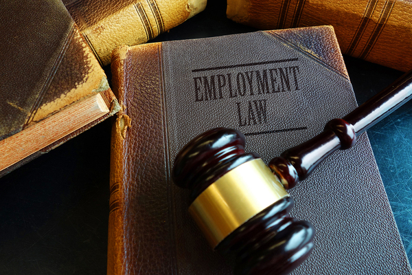 Many Types of Professionals Benefit from Understanding Employment Law